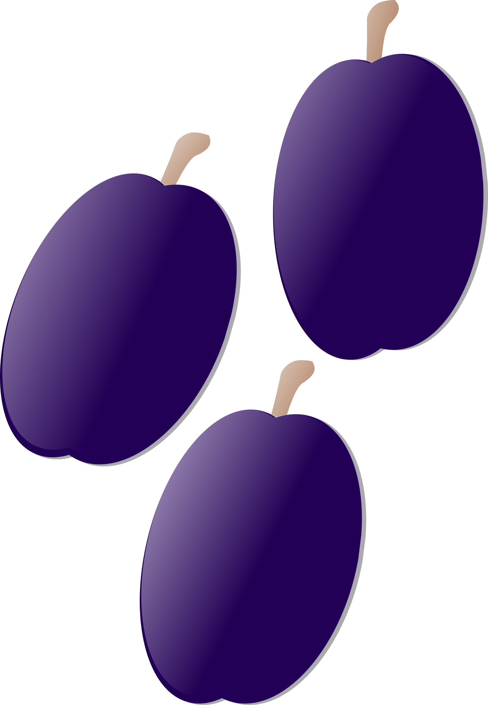Plum Clipart - Plum Clip Art (1662x2400)