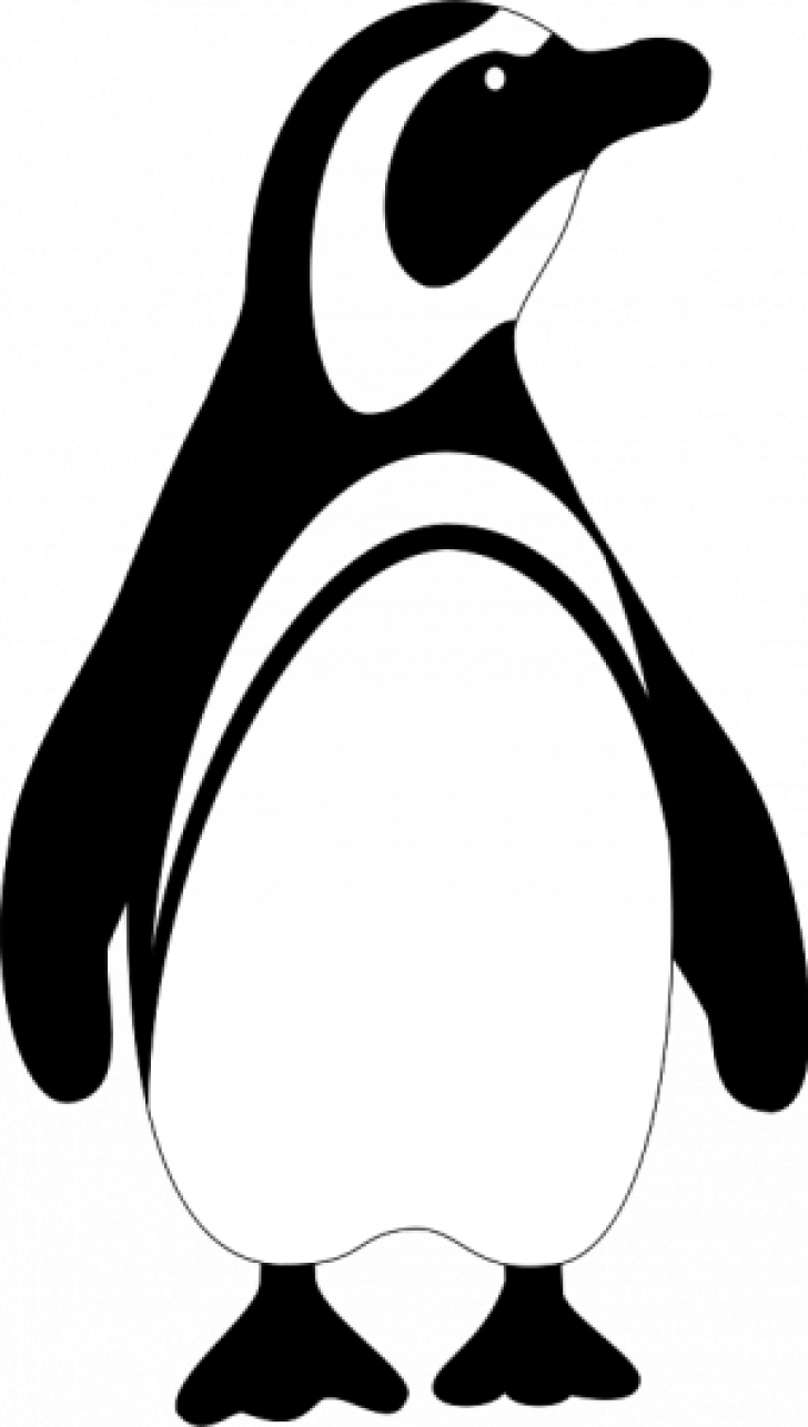 Permalink To Penguin Clipart Black And White Baby Clipart - Black And White Penguin (728x1286)