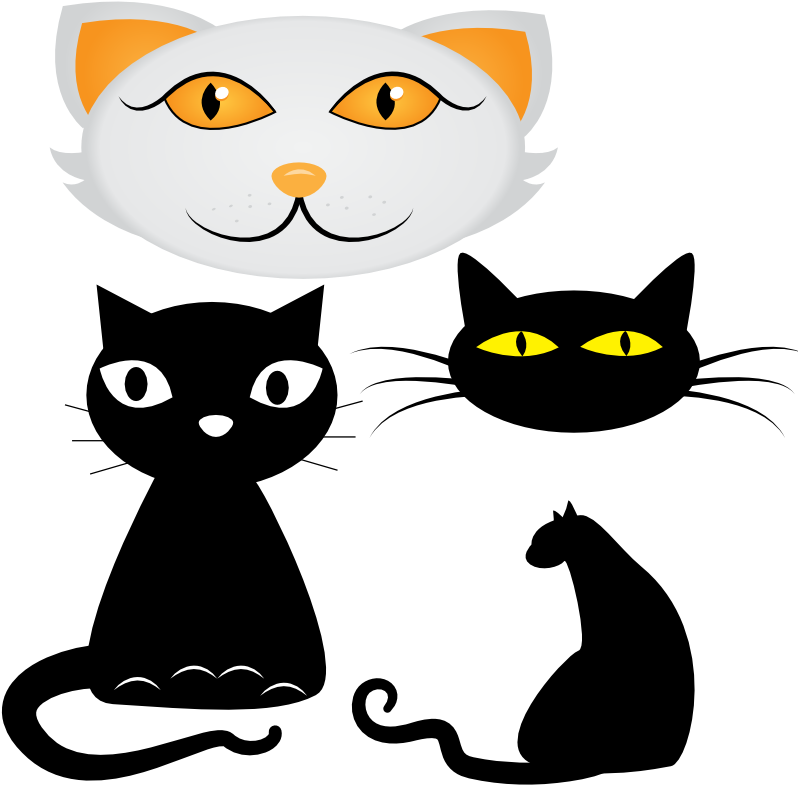 Maine Coon Kitten Lunchbox Bag Clip Art - Maine Coon Kitten Lunchbox Bag Clip Art (800x800)