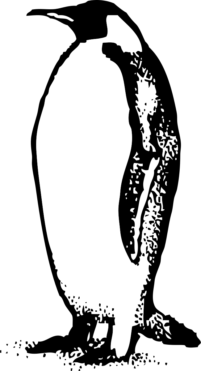 Penguin Black And White Penguin Clip Art Black And - Black And White Penguin Clip Art (651x1200)