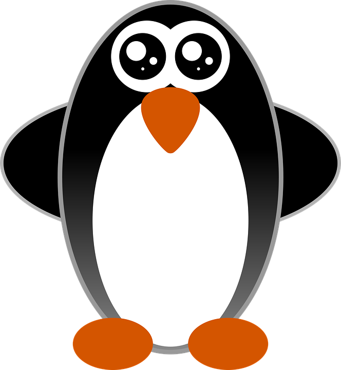 Penguin, Cartoon, Black And White - Animales Animado Blanco Y Negro (664x720)