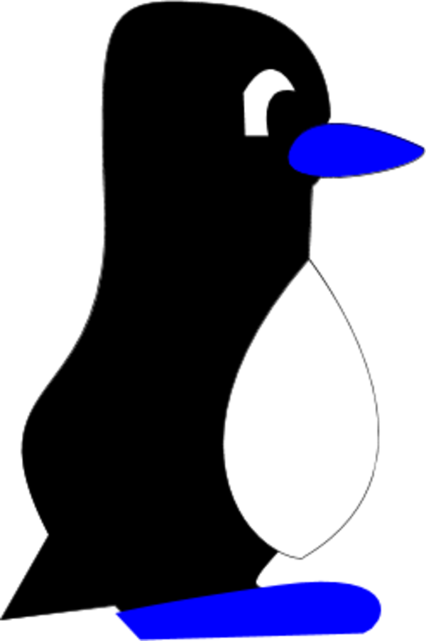 Penguin Cartoon Standing Profile - Clip Art (600x902)