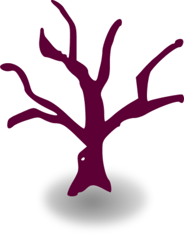 Dead Tree Cartoon Vector Clip Art - Tree Graphic Organizer Template (600x768)
