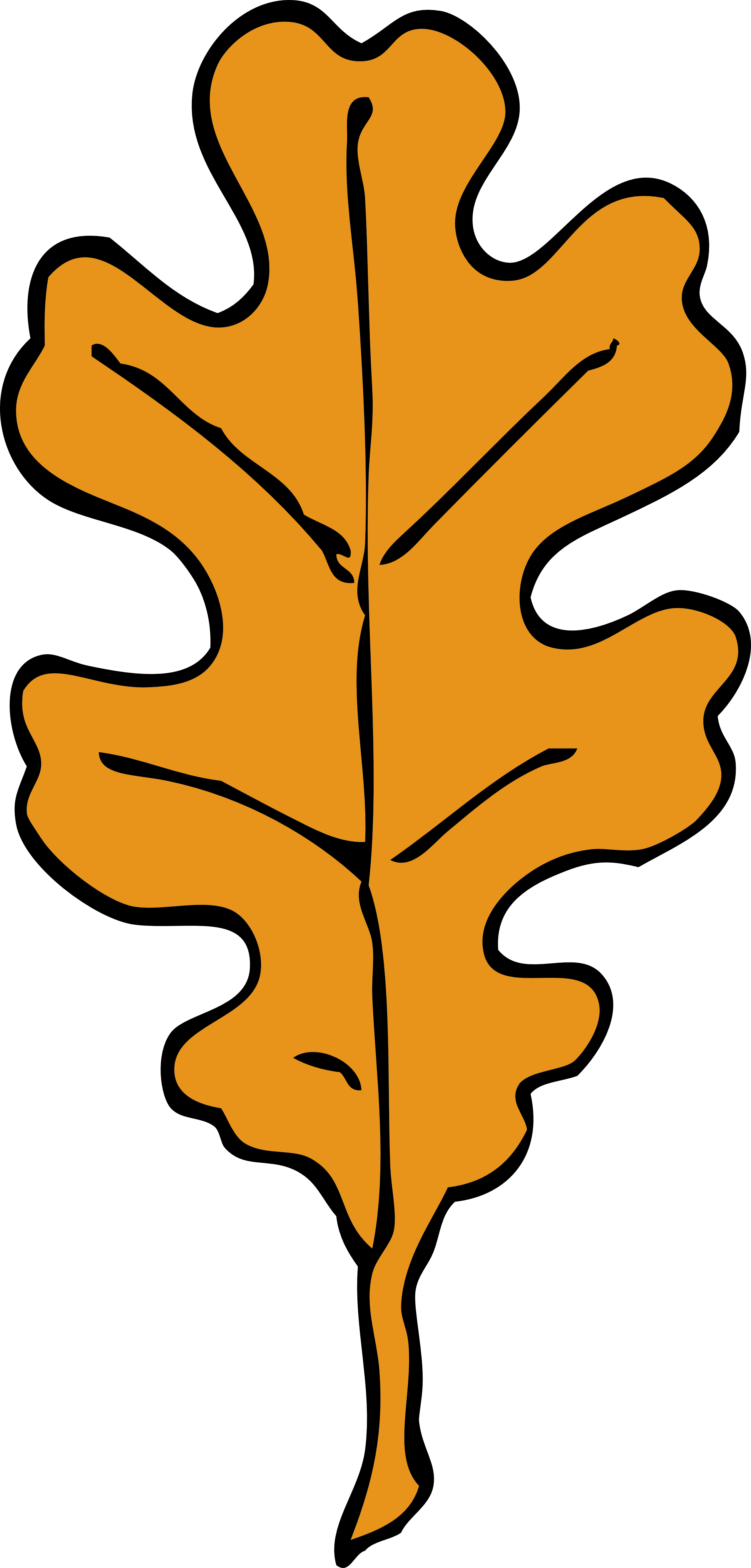 Leaves Clipart Oak Leaf - Fall Oak Leaf Clipart (2555x5335)