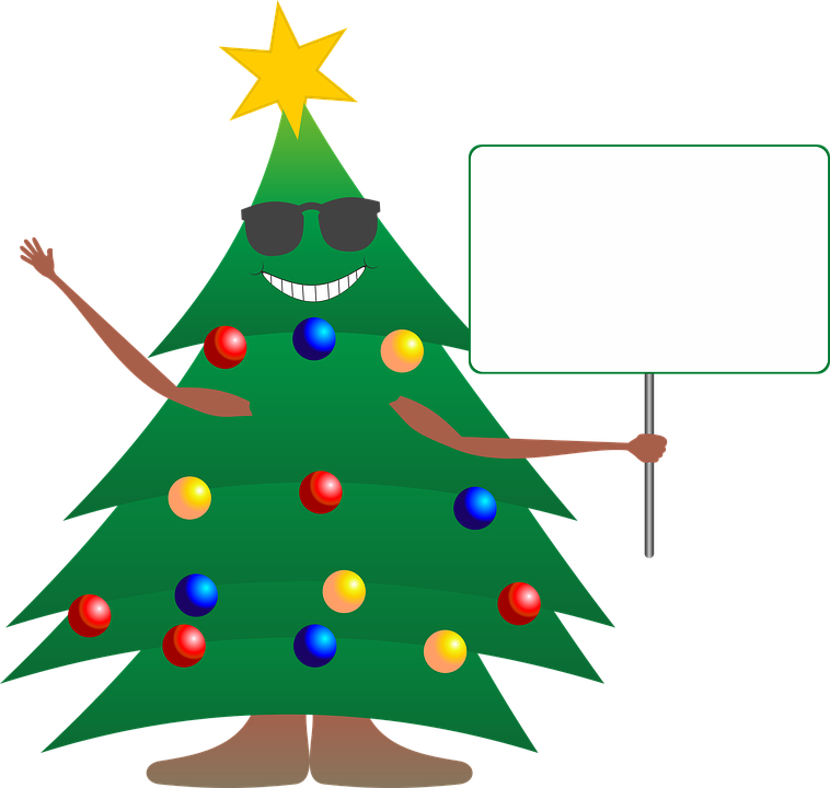 Christmas, Christmas Tree, Fir - Christmas In July Tree (758x720)