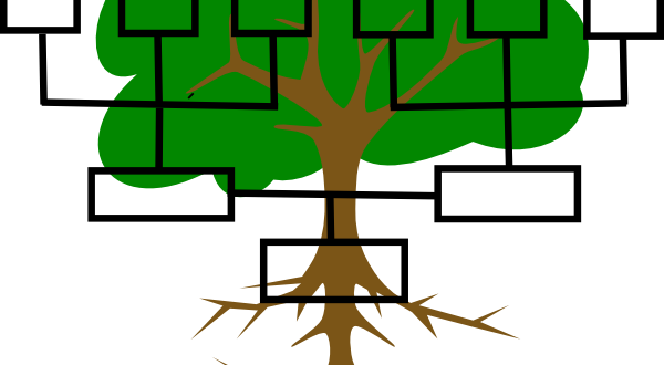 The First Digital Family Tree, Operational In Romania - Blank Family Tree Transparent (600x330)