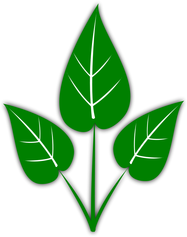 Leaf Free Leaves Clipart Free Clipart Graphics Images - Hydroponics Gardening: How To Start Hydroponics System, (637x800)