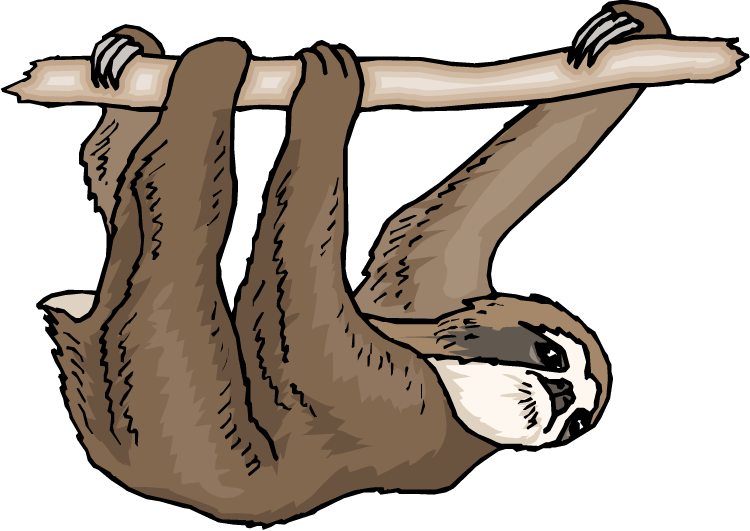 Sloth Clipart - Three Toed Sloth Clipart (750x531)