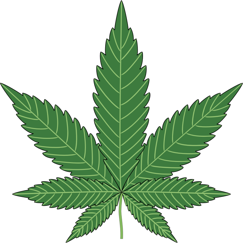 Download - Marijuana Png (792x791)