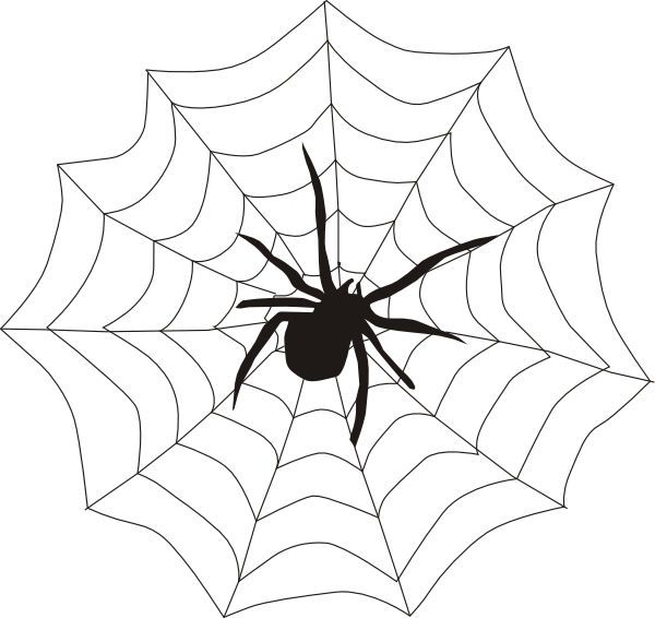 Clipart Info - Spider Web (600x566)