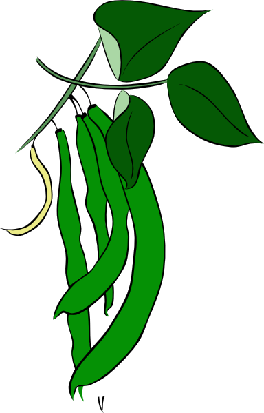 Green Beans Clip Art - Clip Art Green Beans (384x599)