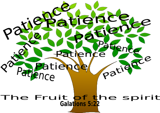 Patience Tree Clip Art - Fruit Of The Spirit Rectangle Magnet (600x368)