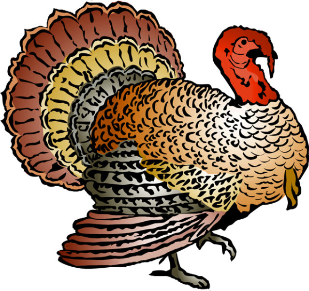 Turkey Free Thanksgiving Clipart Clip Art Pictures - Wild Turkey Clipart (639x600)