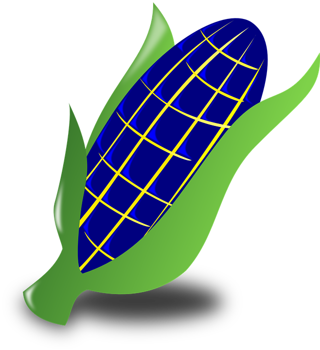 Blue Corn Clipart (658x720)