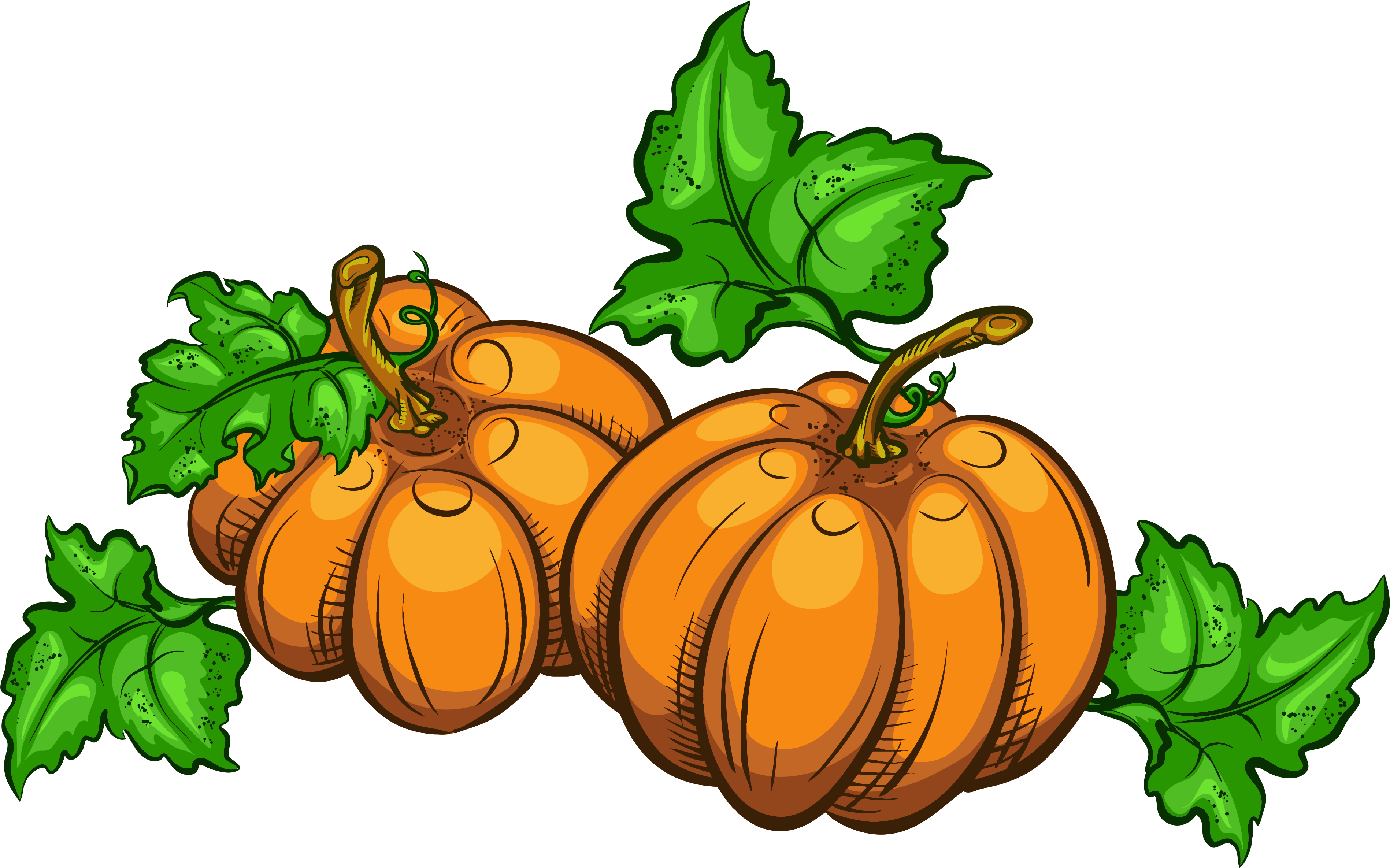 Thanksgiving Clip Art Pumpkins - Pumpkins Clip Art Transparent (4031x2682)
