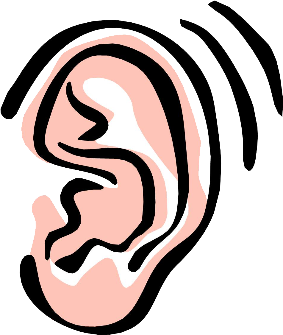Ear Png Image - Listening Ear Clip Art (954x1137)
