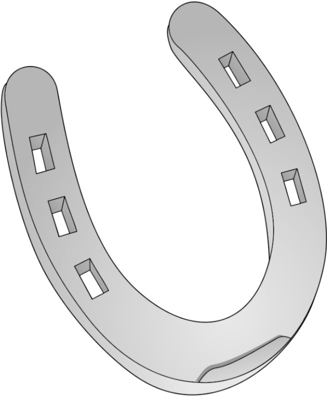 Silver Horseshoe - Horseshoe Clip Art (800x800)