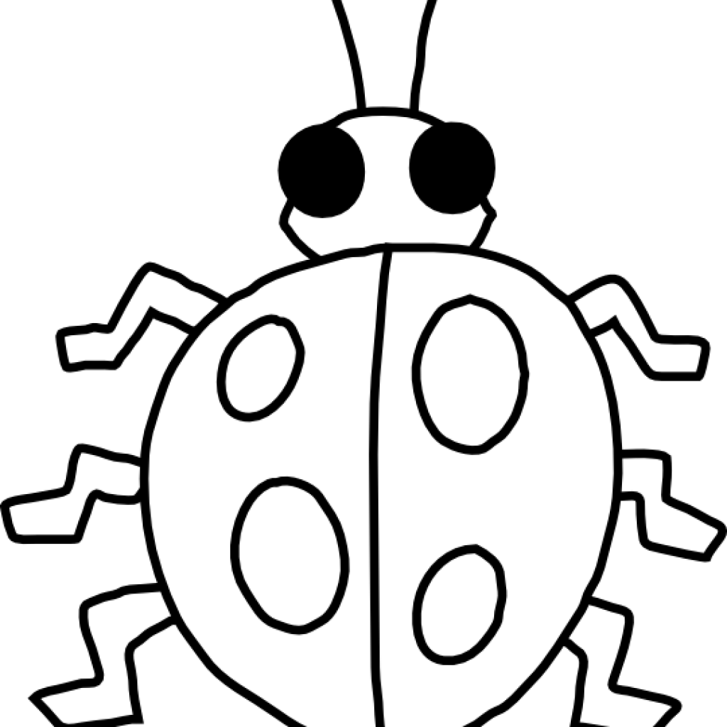 Ladybug Outline Ladybug Clip Art At Clker Vector Clip - Insect Worksheet For Preschoolers (1024x1024)