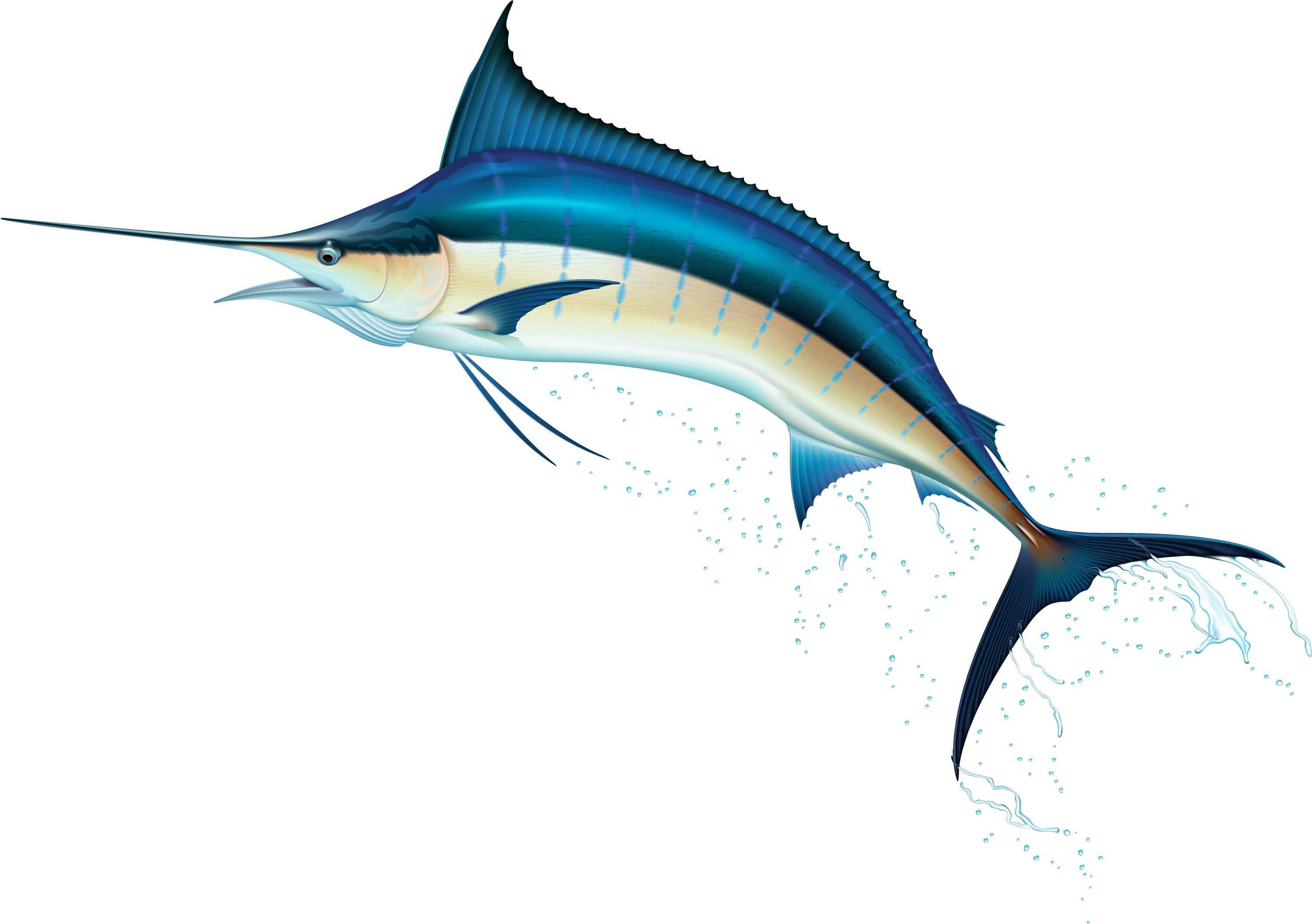 Swordfish Png Clip Art Best Web Clipart - Swordfish Clipart (3069x2152)