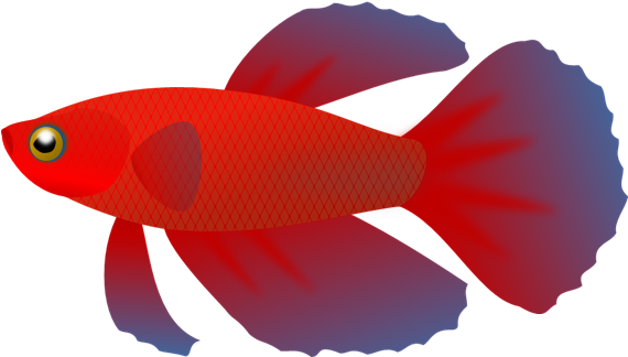 No Fish Cliparts Free Download Clip Art Free Clip Art - Fish Clip Art Transparent Background (582x336)