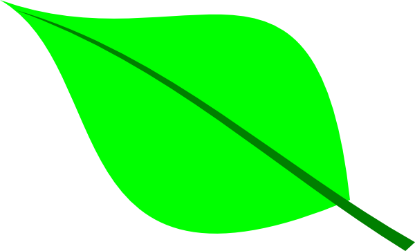 Small Leaf Clip Art - Green Leaf Clip Art (728x440)