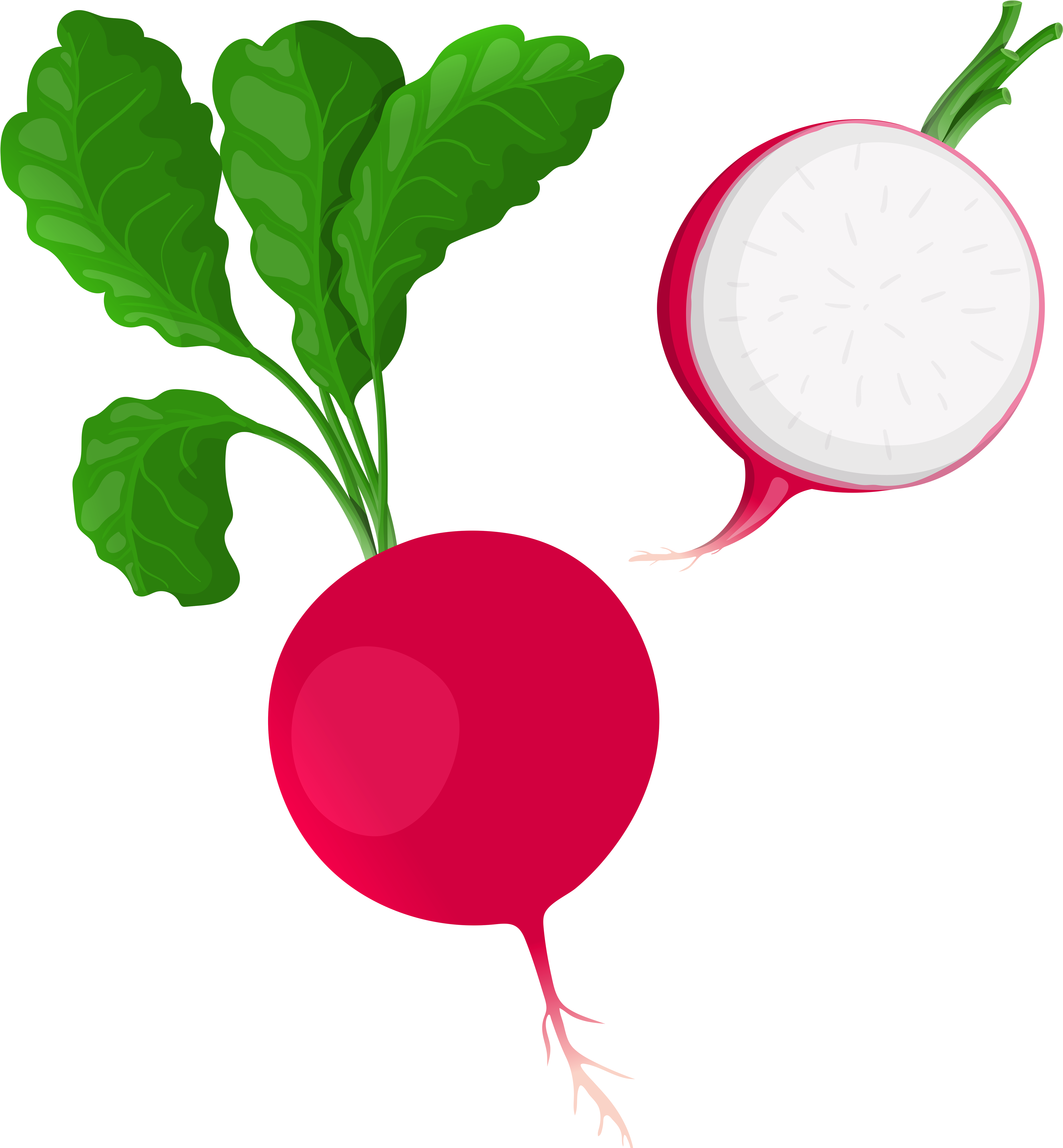 Radish Png Clip Art - Clip Art (5818x6000)