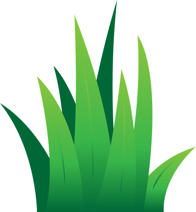 Green Grass Clip Art Lawn Green Grass Free Vector Graphic - Illustration (1186x1280)