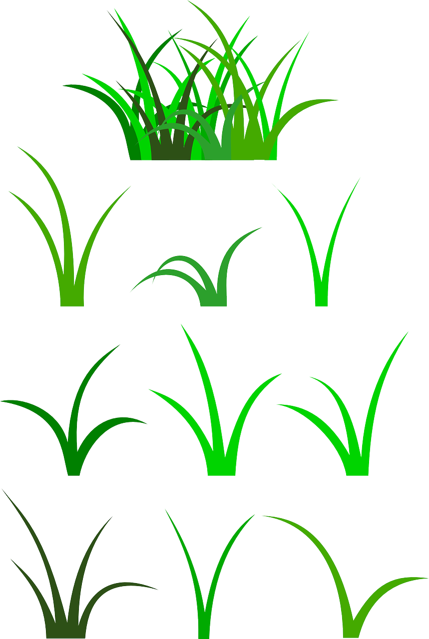 Medium Image - Blade Of Grass Clip Art (859x1280)