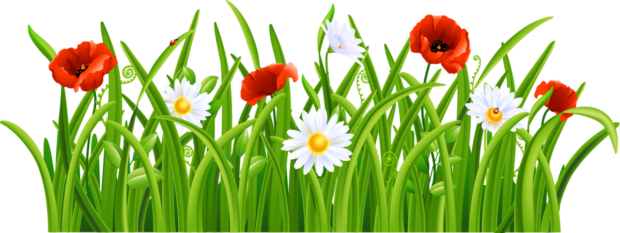Pin By Pearl Balagtas On Grassdesigns - Happy New Year 2018 Odia (1280x481)