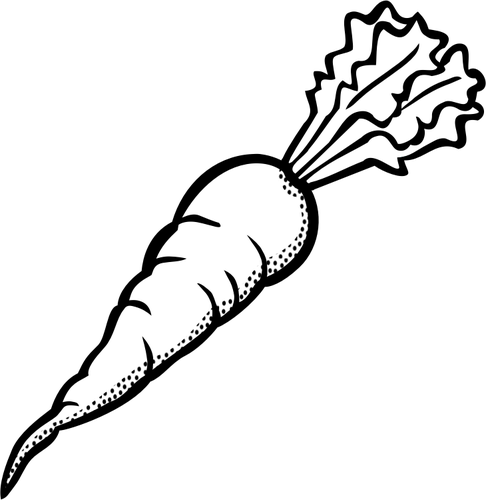 Vegetables Black And White Clip At Of Ripe Carrot In - Carrot Black And White (486x500)