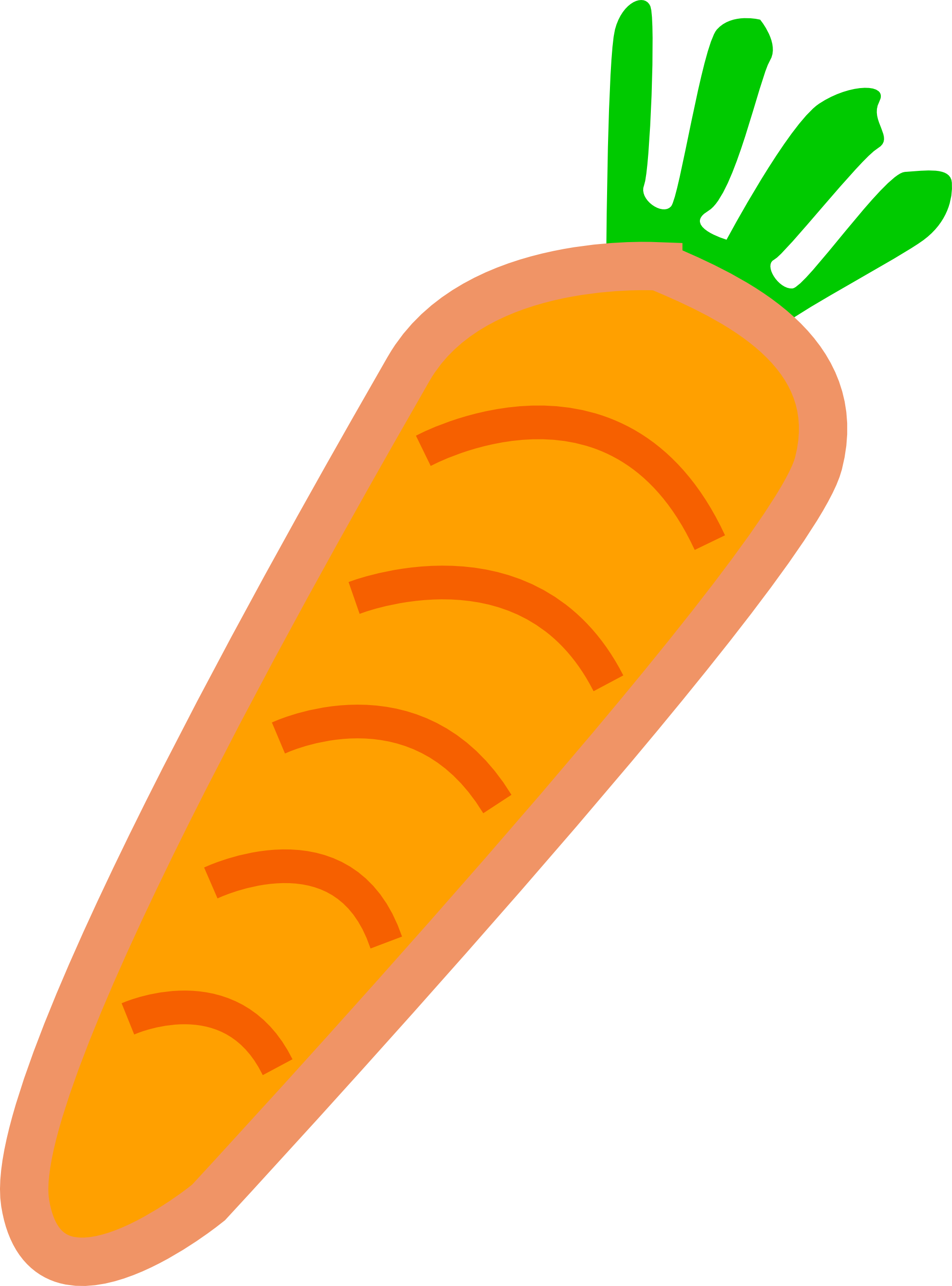 More From My Site - Cartoon Carrot No Background (1979x2672)