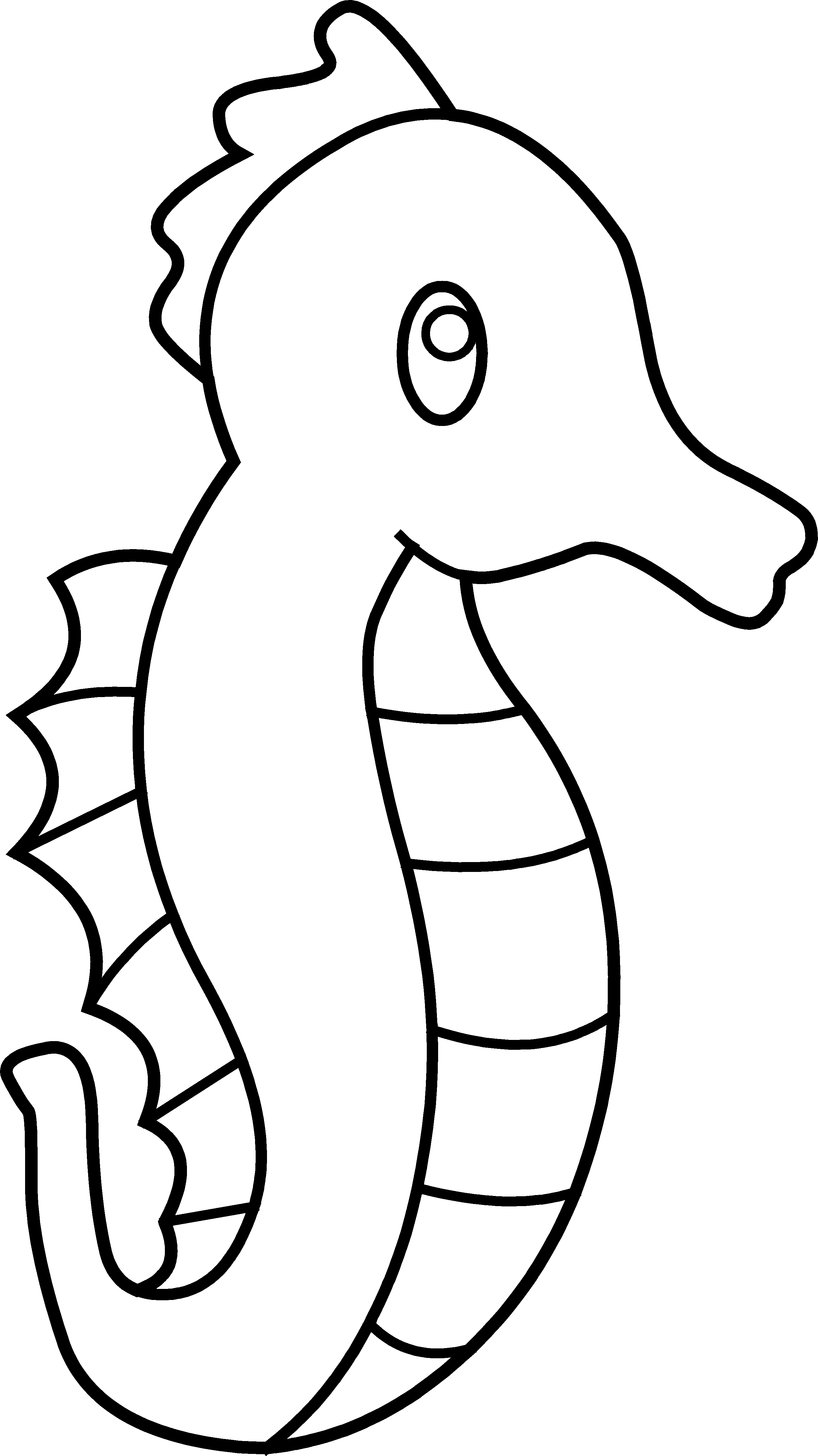 Cute Seahorse Line Art - Clip Art (2739x4871)