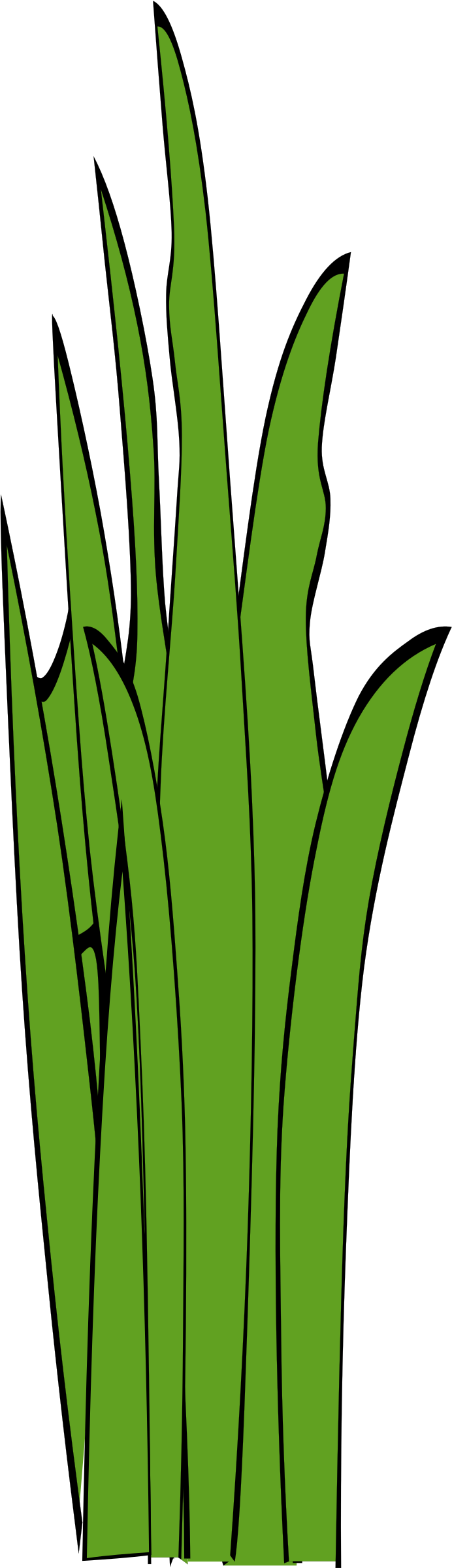 Big Image - Blade Of Grass Clip Art (692x2400)