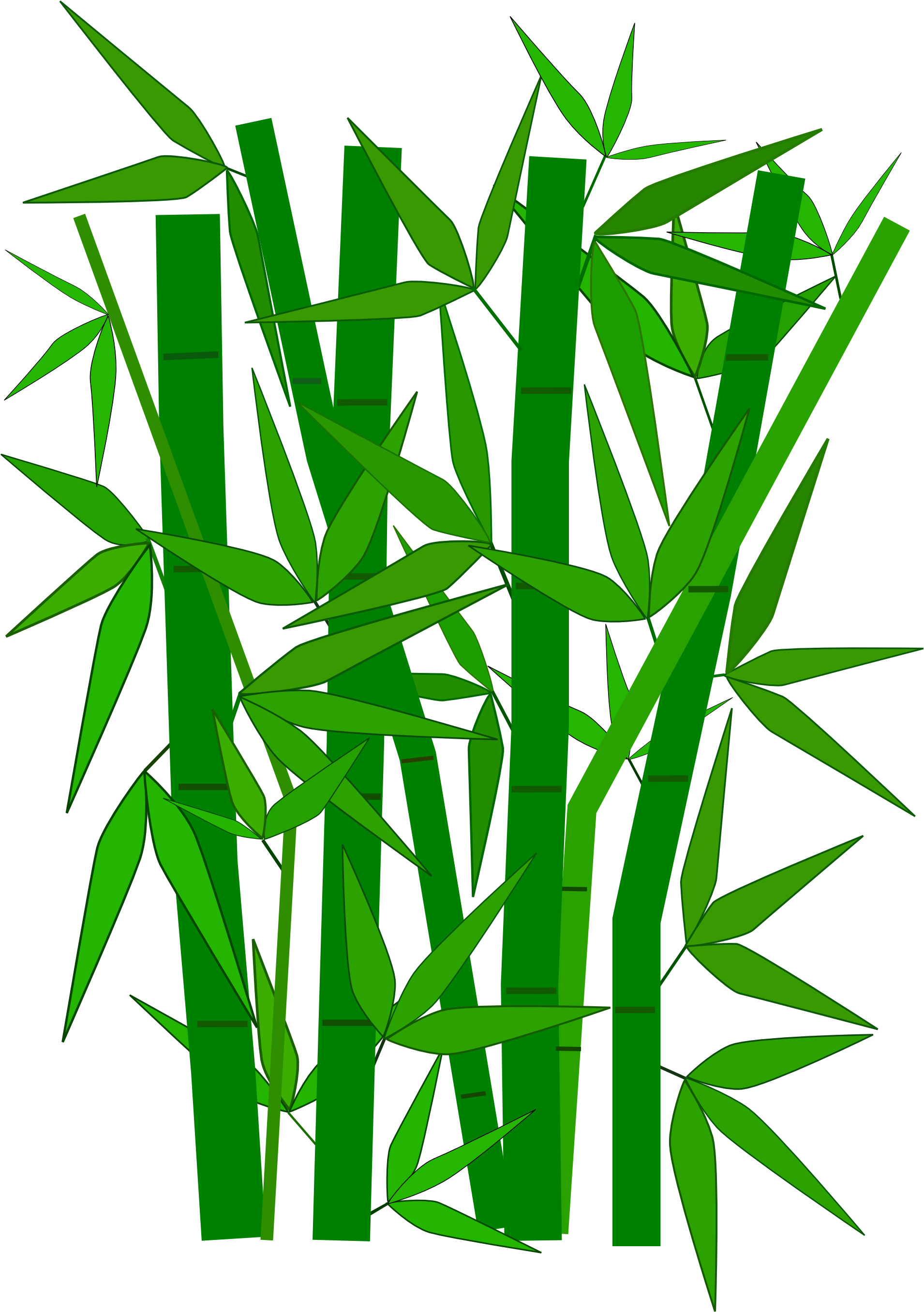 Bamboo Clipart - Bamboo Clipart (1969x2785)