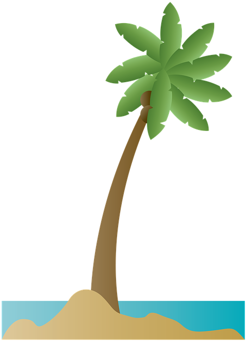 Palm Tree Palm Coconut Beach Summer Ocean Sea - Playa Ilustracion Png (528x720)