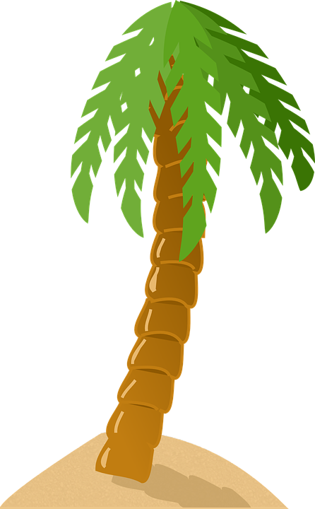 Palm Tree Exotic Tropical Island Green Sand Beach - Palm Tree Clip Art (446x720)