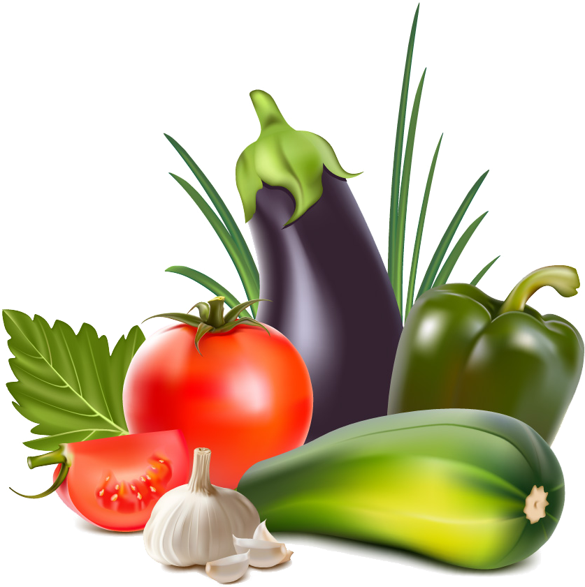 Organic Food Vegetable Fruit Clip Art - Vegetables Vector Png (882x870)