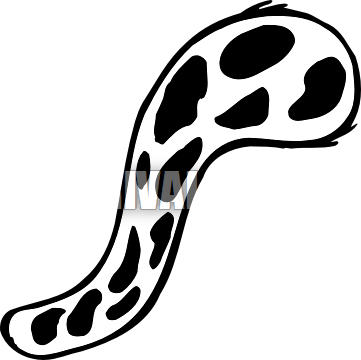 Cheetah Clipart Tail - Dog Tail Clip Art (361x360)