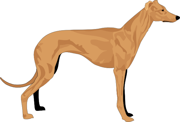 Grey Hound Clip Art - Hound Clipart (600x407)