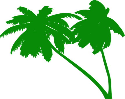 Palms, Coconut Tree, Coconut Palms - Green Palm Tree Vector (429x340)