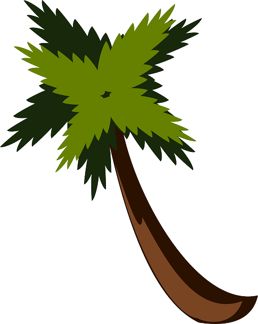 Vacation Palm Tree, Beach, Jungle, Palm, Leaves, Vacation - Hojas De Sleva Png (509x640)
