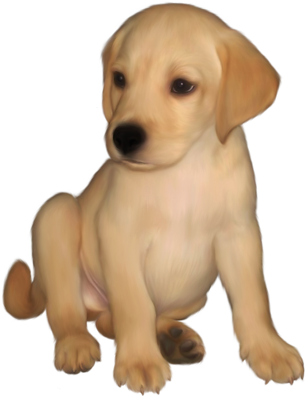 Labrador Retriever Clip Art - Golden Retriever Puppy Clipart (629x823)