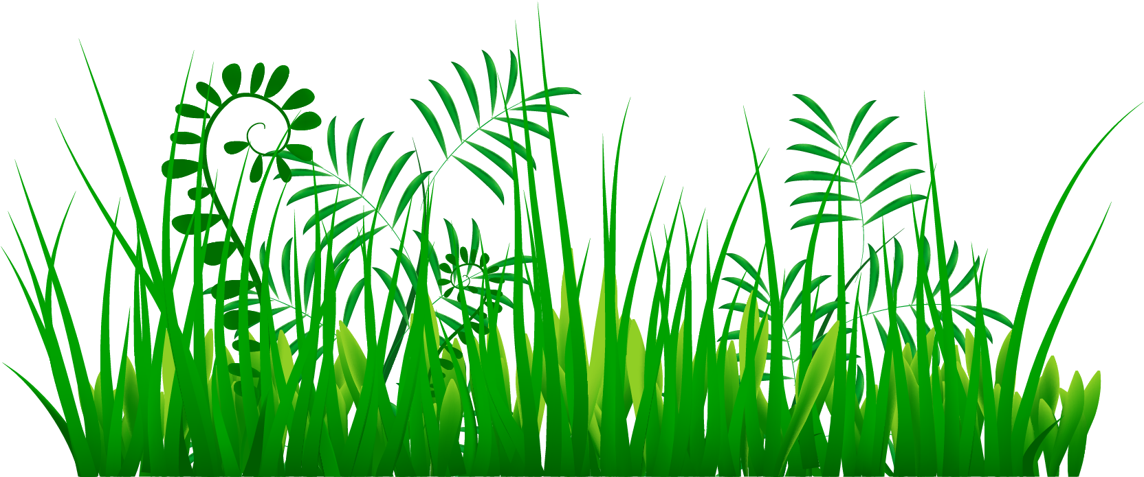 Grass Clipart Png Image 08 - Grass (1679x971)
