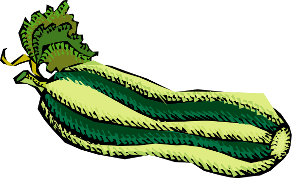 Vegetables 51 Png Images - Zucchini Coloring Page (600x366)