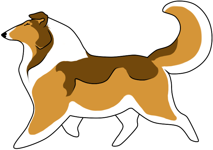 Collie Cliparts - Collie Clip Art (702x494)