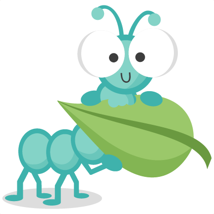 Bug Clipart Transparent - Scalable Vector Graphics (432x432)