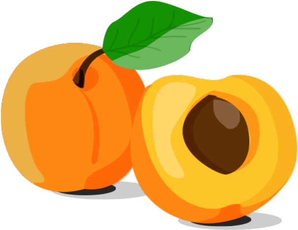 Apricots - Apricots (640x480)