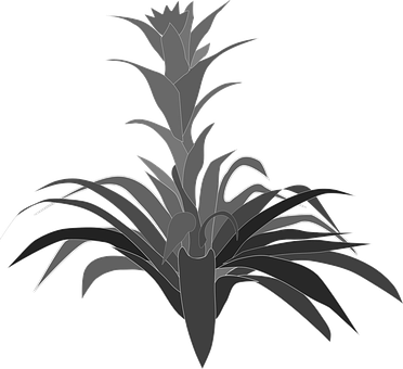 Clip Art, Flor, Flora, Flower, Nature - Clip Art (372x340)