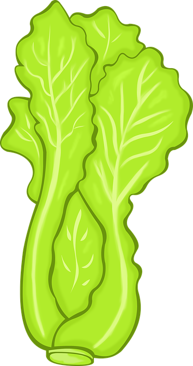 Alface Png Desenho (380x720)