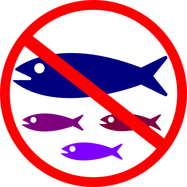 No Fish (600x600)